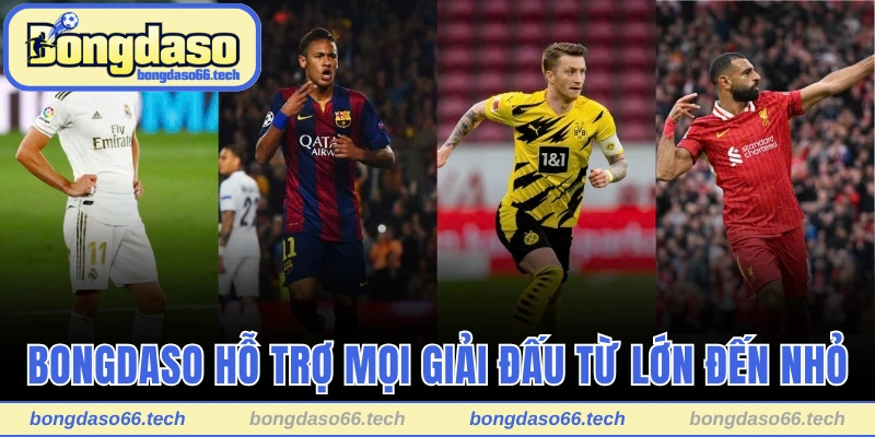 Trang Chủ 24 Bongdaso hỗ trợ mọi giải đấu từ lớn đến nhỏ