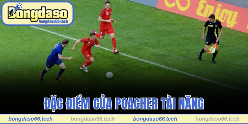 Poacher Trong Bóng Đá Là Gì? Top 4 Cái Tên Nổi Bật Nhất 2 Đặc điểm của Poacher tài năng