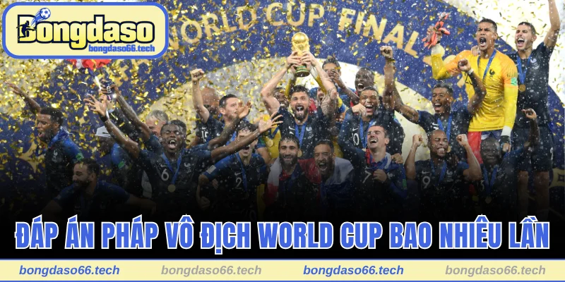 Pháp Vô Địch World Cup Bao Nhiêu Lần Từ Trước Đến Nay? 1 Đáp án Pháp vô địch World Cup bao nhiêu lần