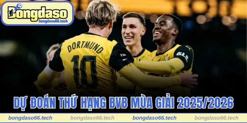 Tìm Hiểu Chi Tiết Về Câu Lạc Bộ Bóng Đá Borussia Dortmund 3 Dự đoán thứ hạng BVB mùa giải 2025/2026