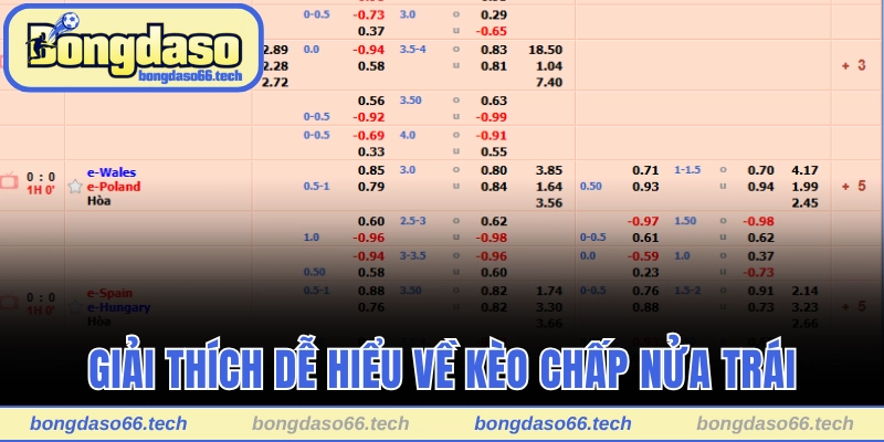 Kèo Chấp Nửa Trái - Trải Nghiệm Kiếm Thưởng Xanh Chín 1 Giải thích dễ hiểu về kèo chấp nửa trái