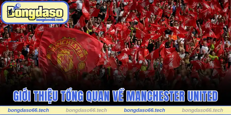 Manchester United - Hành Trình Đầy Cảm Xúc Của Quỷ Đỏ 1 Giới thiệu tổng quan về Manchester United