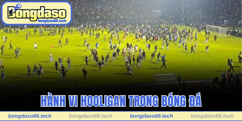 Hooligan Trong Bóng Đá Là Gì? Châu Âu Chìm Trong Thảm Họa 3 Hành vi Hooligan trong bóng đá