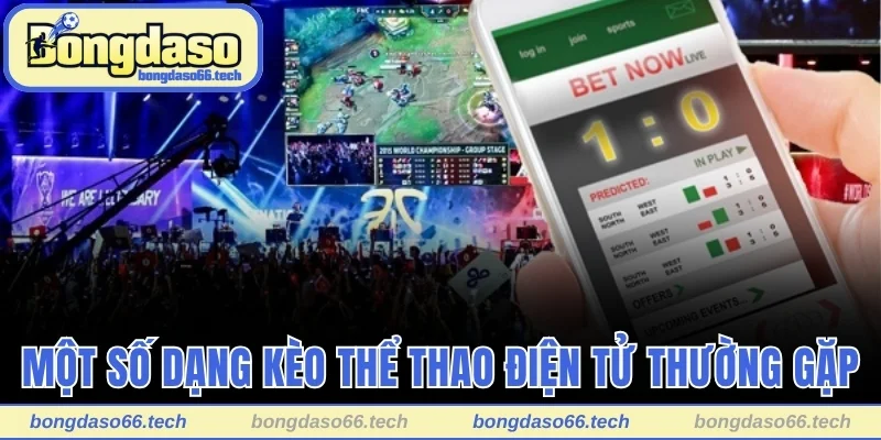 Cá Cược Esport - Trải Nghiệm Đỉnh Cao, Kiếm Lời Cực Khủng 3 Một số dạng kèo thể thao điện tử thường gặp