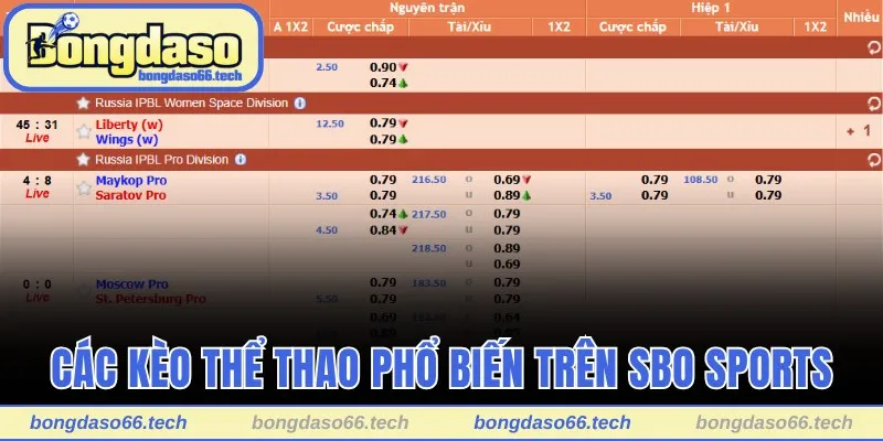 SBO Sports - Sân Chơi Thể Thao Đặc Sắc Hàng Đầu Châu Á 3 Một số loại kèo thể thao phổ biến trên SBO Sports