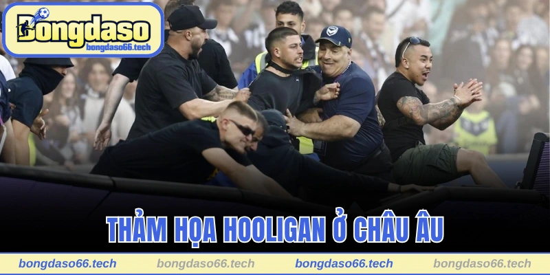 Hooligan Trong Bóng Đá Là Gì? Châu Âu Chìm Trong Thảm Họa 2 Thảm họa Hooligan ở Châu Âu