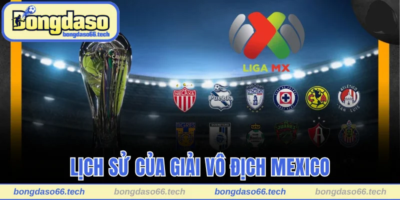 Giải Vô Địch Mexico - Lịch Sử Và Cấu Trúc Của Giải Đấu 1 Tìm hiểu lịch sử của giải vô địch Mexico