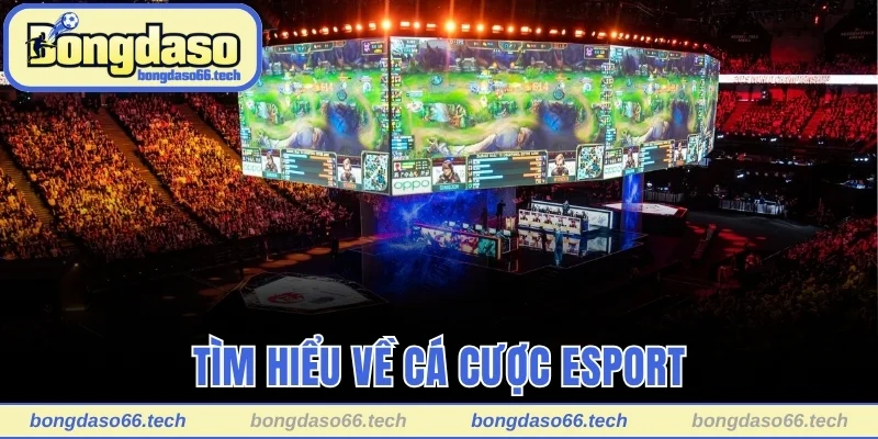 Cá Cược Esport - Trải Nghiệm Đỉnh Cao, Kiếm Lời Cực Khủng 1 Tìm hiểu về cá cược esport