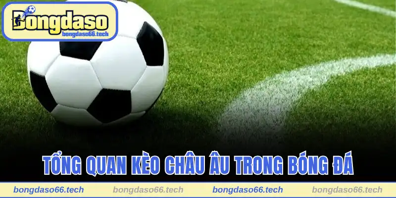 Kèo Nhà Cái Châu Âu - Đọc Hiểu Và Thắng To Mùa Giải Mới 1 Tổng quan kèo Châu Âu trong bóng đá