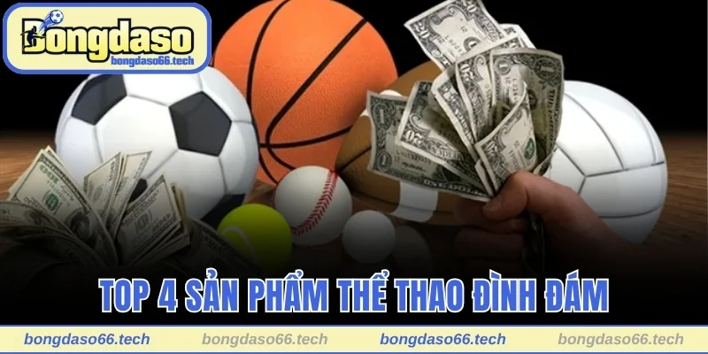 UG Sports - Trải Nghiệm Cá Cược Thể Thao Không Giới Hạn 3 Top 4 sản phẩm thể thao đình đám